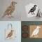 Crow Raven Stencil Template - Reusable Gothic Birds Horror Bird Inspirational Graffiti Stencils for Painting on Wood, Glass, Wall, Rock, Walls, Canvas, Glassware, Spray Painting (7 x 9)